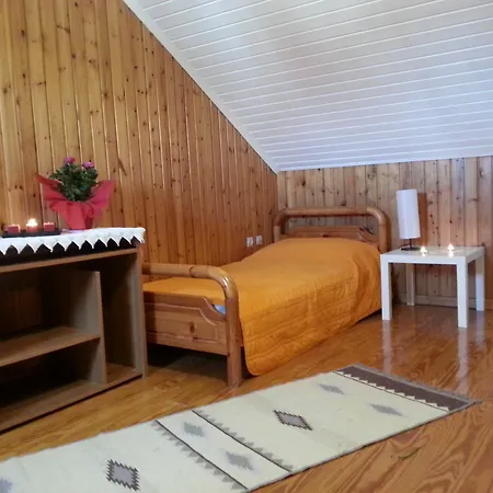 Center Apartman *